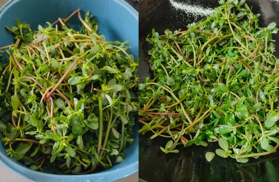 4 Lọai rau nhất định phải ăn trong m&ugrave;a h&egrave;: Dễ nấu, thanh m&aacute;t gi&uacute;p bạn giải nhiệt, bổ tỳ vị - Ảnh 2.