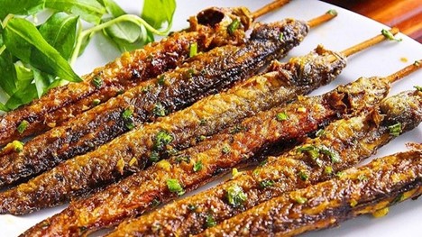 Lo&agrave;i c&aacute; nh&igrave;n rợn người nhưng lại l&agrave; 