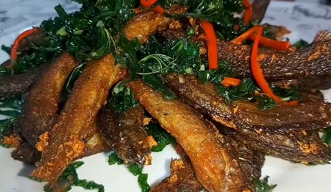 Lo&agrave;i c&aacute; nh&igrave;n rợn người nhưng lại l&agrave; 