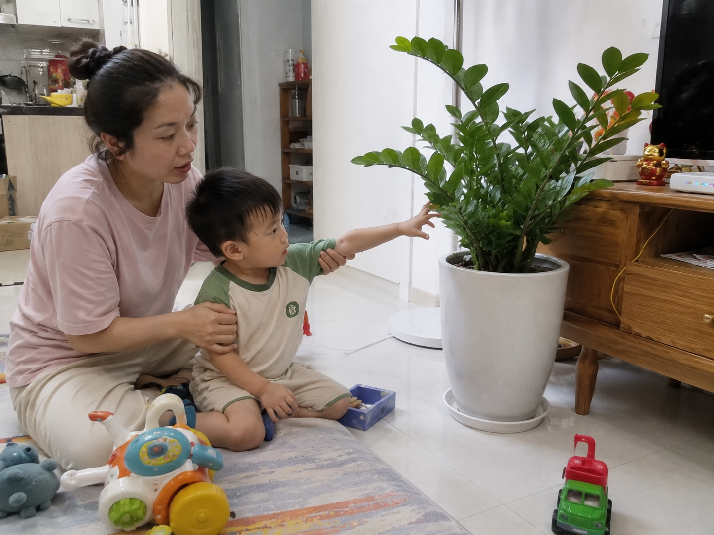 C&acirc;y kim tiền được xem l&agrave; &ldquo;h&uacute;t t&agrave;i lộc&rdquo;, nhưng c&oacute; 3 kiểu gia đ&igrave;nh n&ecirc;n c&acirc;n nhắc kỹ trước khi mua về nh&agrave; - Ảnh 2.