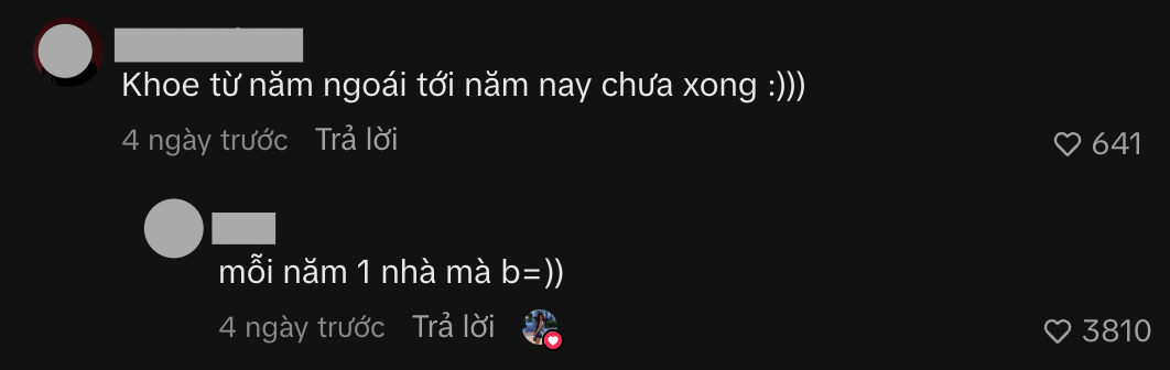 Louis Phạm v&agrave; những tranh c&atilde;i về t&agrave;i sản năm 2026: Mỗi năm một nh&agrave;? - Ảnh 1.