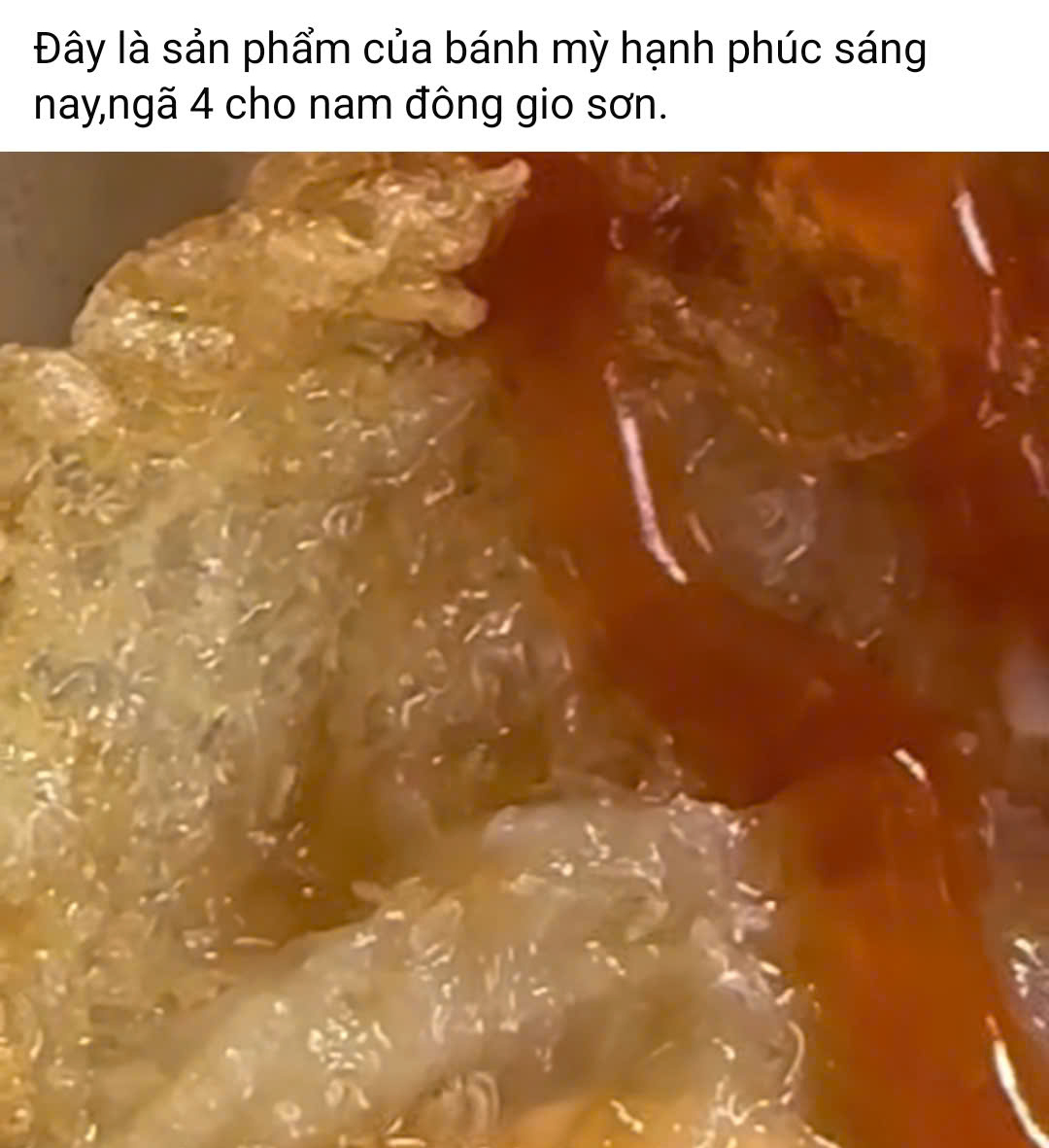 Vụ dòi trong hộp xôi: Tạm đình chỉ cơ sở bánh mì Hạnh Phúc tại Quảng Trị - Ảnh 1. Vụ dòi trong hộp xôi: Tạm đình chỉ cơ sở bánh mì Hạnh Phúc tại Quảng Trị - Ảnh 1.