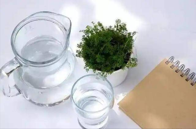 9 năm &ldquo;nghiện&rdquo; tr&agrave; sữa thay nước lọc, uống tới 3.000 cốc: Người phụ nữ biến hai quả thận th&agrave;nh... t&uacute;i đựng sỏi - Ảnh 5.