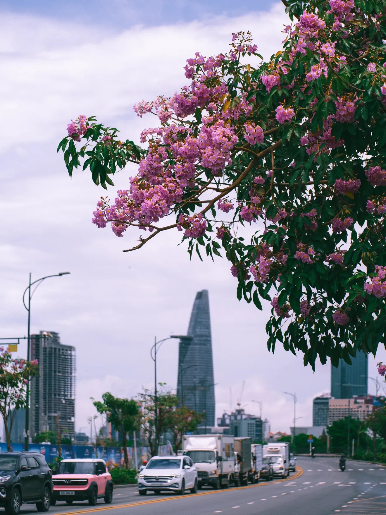 Kh&aacute;m ph&aacute; m&ugrave;a k&egrave;n hồng Đặc biệt ở TP . HCM giữa th&aacute;ng 5 năm 2026 - Ảnh 10.