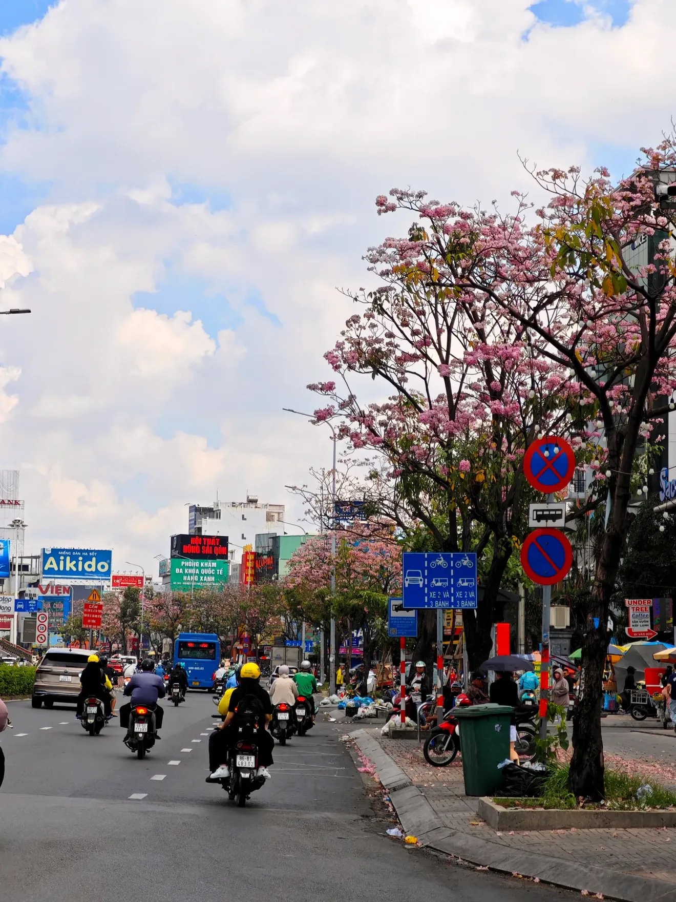 Kh&aacute;m ph&aacute; m&ugrave;a k&egrave;n hồng Đặc biệt ở TP . HCM giữa th&aacute;ng 5 năm 2026 - Ảnh 4.