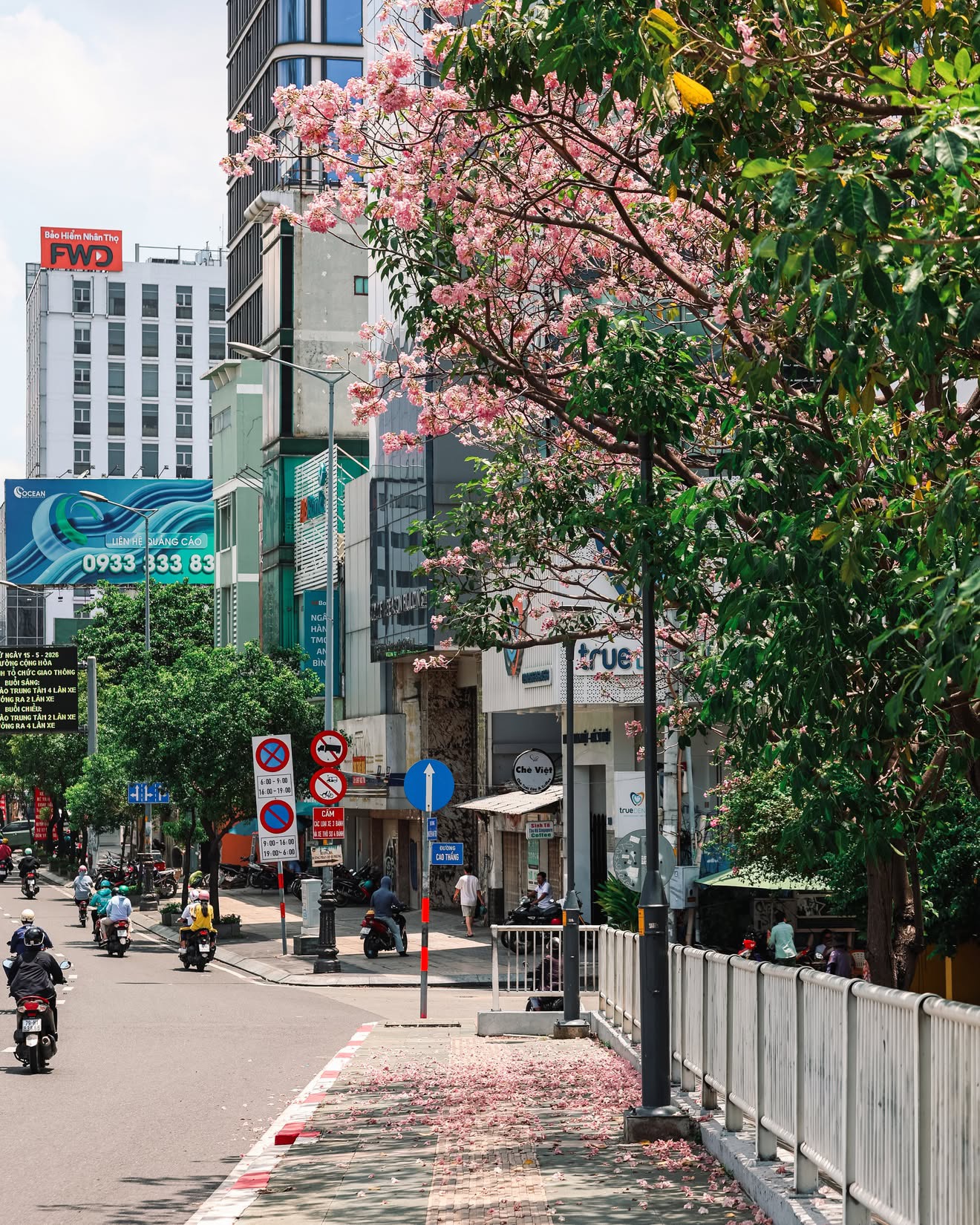 Kh&aacute;m ph&aacute; m&ugrave;a k&egrave;n hồng Đặc biệt ở TP . HCM giữa th&aacute;ng 5 năm 2026 - Ảnh 7.