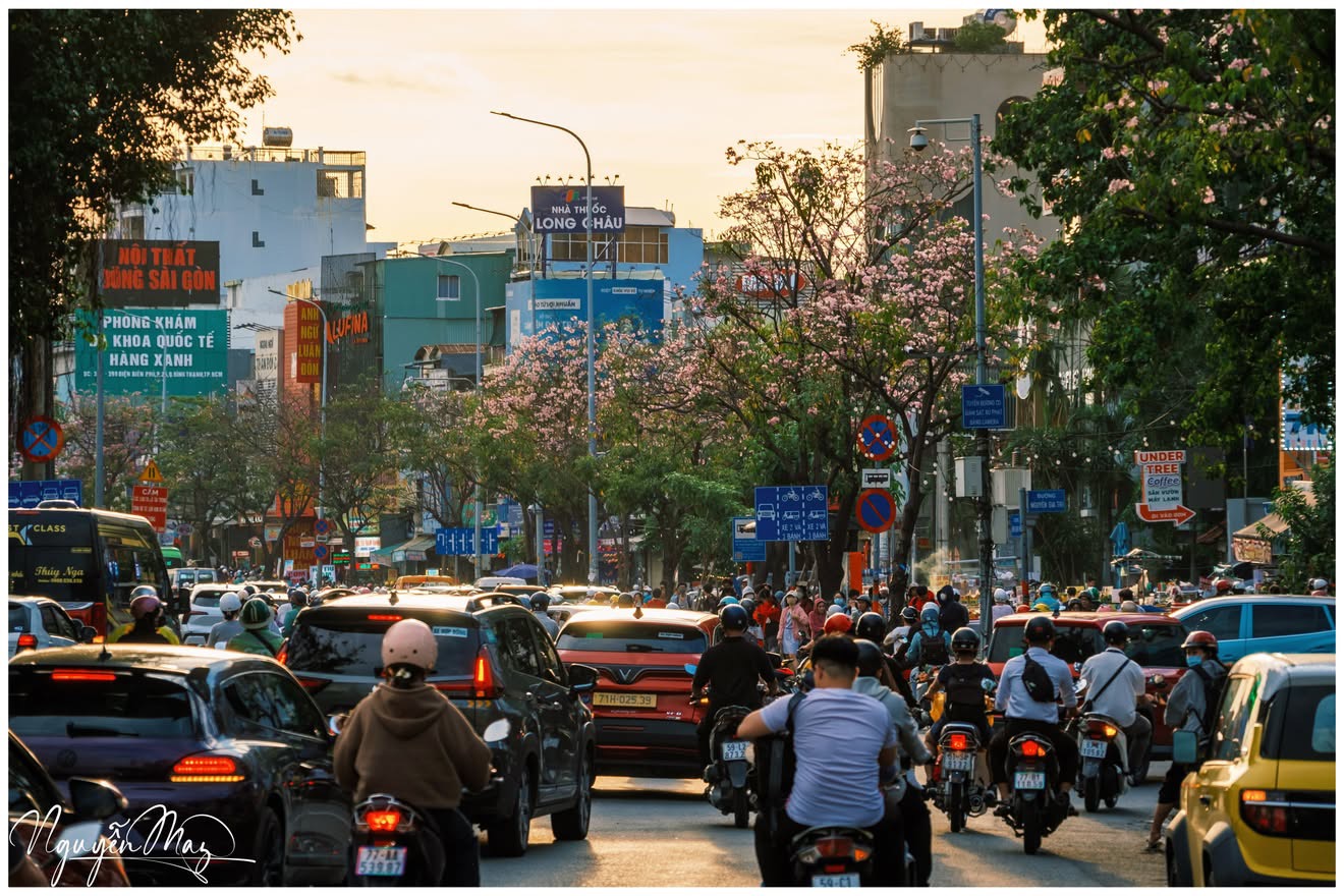 Kh&aacute;m ph&aacute; m&ugrave;a k&egrave;n hồng Đặc biệt ở TP . HCM giữa th&aacute;ng 5 năm 2026 - Ảnh 3.