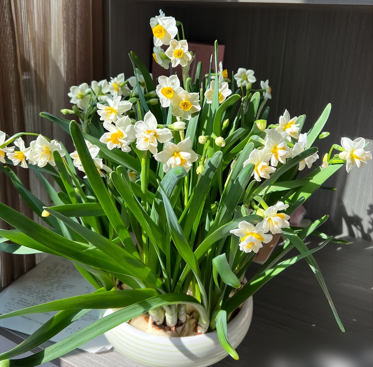 &ldquo;Hoa th&igrave; xanh tốt m&agrave; người cứ mệt mỏi&rdquo;: 6 loại c&acirc;y cảnh nhiều gia đ&igrave;nh vẫn trồng trong nh&agrave; nhưng tiềm ẩn kh&ocirc;ng &iacute;t rắc rối - Ảnh 1.