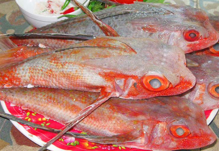 Lo&agrave;i c&aacute; c&oacute; t&ecirc;n như lo&agrave;i b&ograve; s&aacute;t l&agrave; đặc sản 