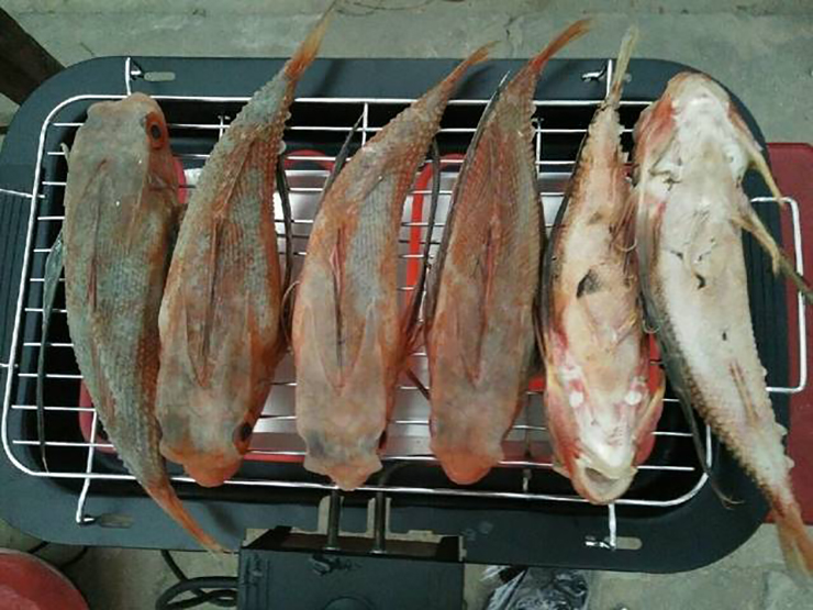 Lo&agrave;i c&aacute; c&oacute; t&ecirc;n như lo&agrave;i b&ograve; s&aacute;t l&agrave; đặc sản 