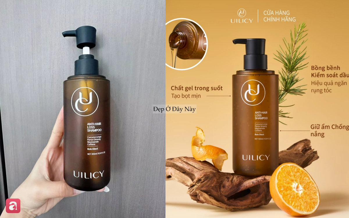 5 dầu gội ngừa rụng tóc