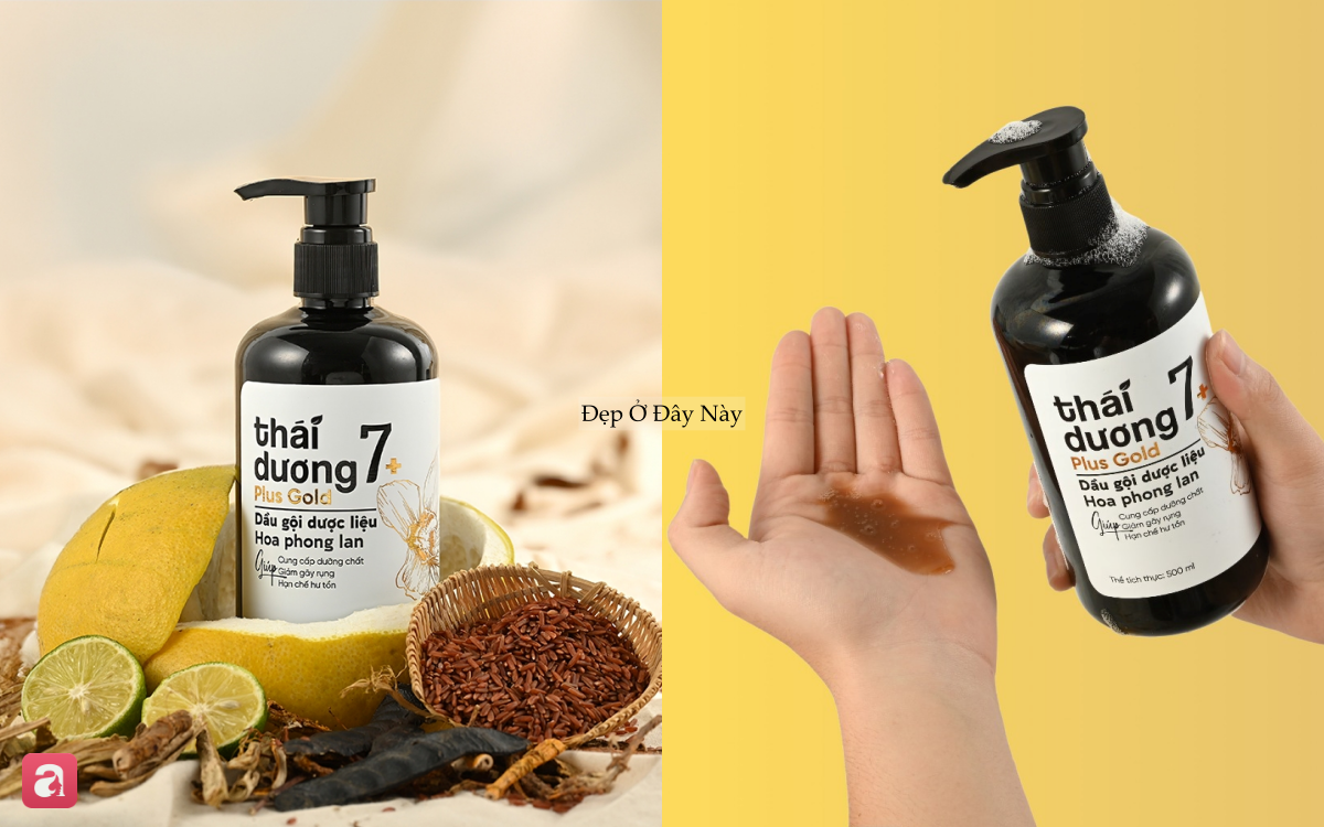 5 dầu gội ngừa rụng tóc