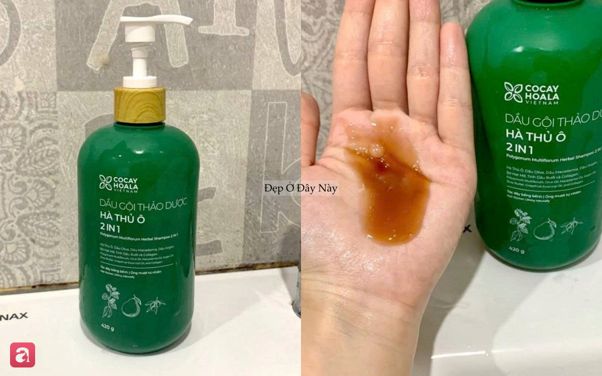 5 dầu gội ngừa rụng tóc