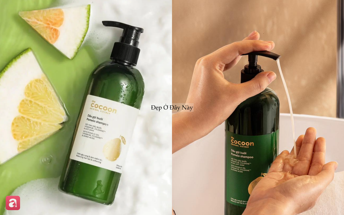 5 dầu gội ngừa rụng tóc