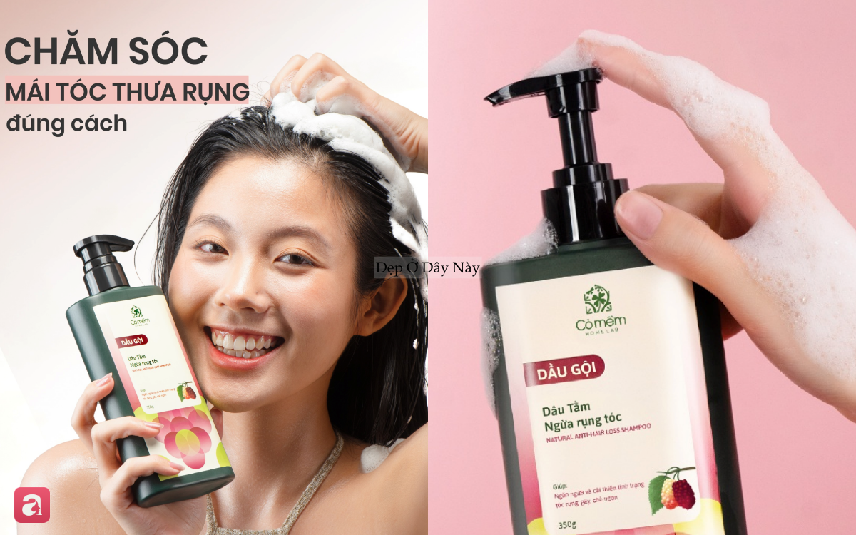 5 dầu gội ngừa rụng tóc