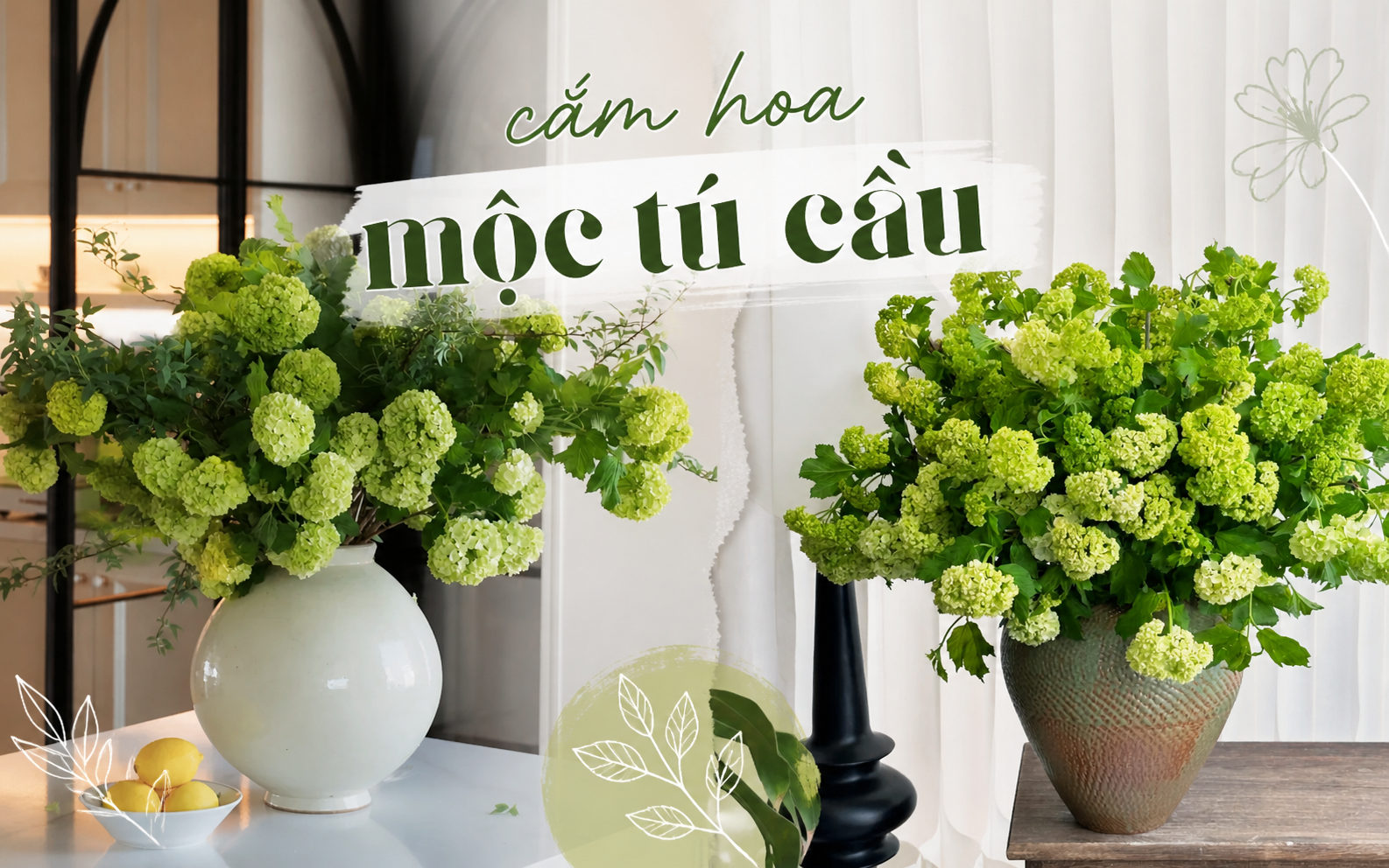 Loài hoa được vua Càn Long ví như "ngọc bàn đọng tuyết" đang trở thành xu hướng cắm hoa hot nhất mùa này: Khó chăm nhưng đáng từng đồng - Ảnh 1.