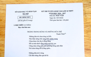 V&igrave; sao kỳ thi n&agrave;y trở th&agrave;nh nỗi &aacute;m ảnh của h&agrave;ng triệu học sinh mỗi năm? - Ảnh 3.
