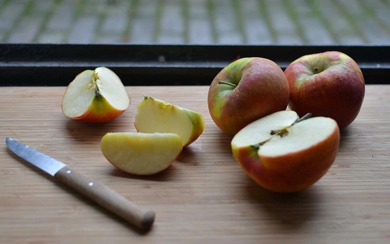 Một gia đ&igrave;nh bị lo&agrave;i k&yacute; sinh tr&ugrave;ng tưởng đ&atilde; tuyệt chủng tấn c&ocirc;ng - Ảnh 2.