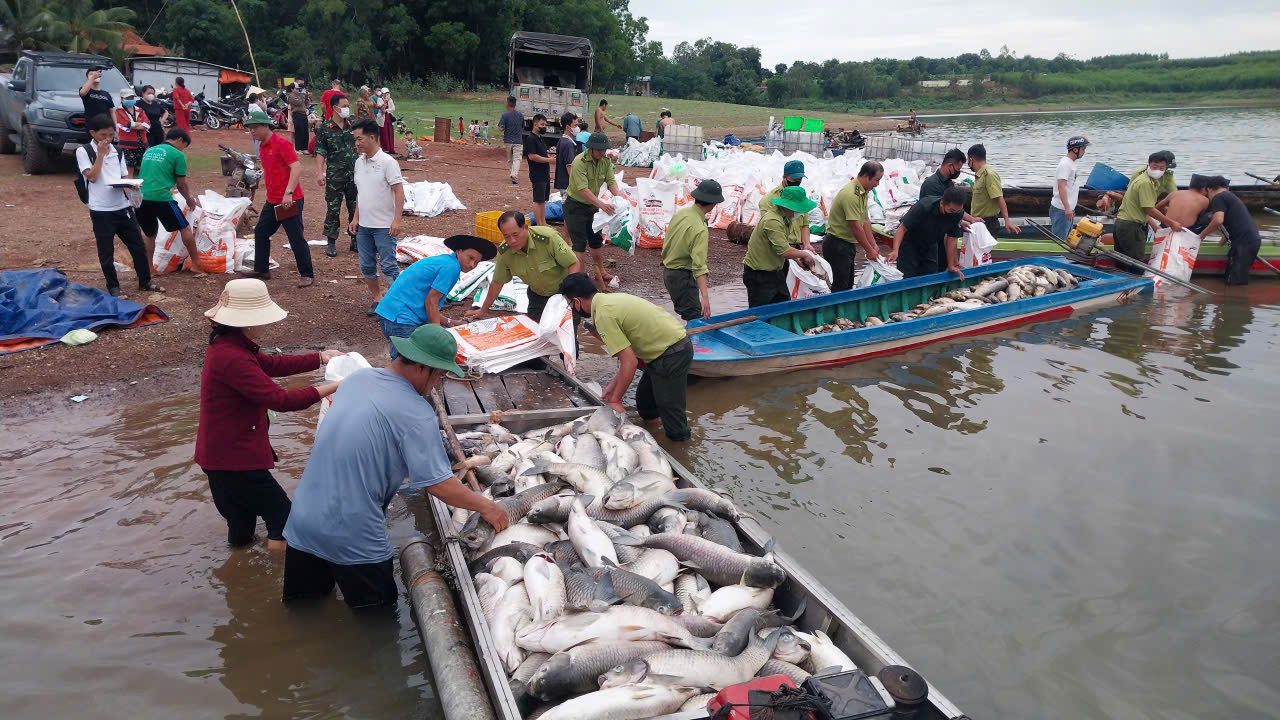Hơn 200 tấn cá chết bất thường ở hồ Trị An khiến người dân lo lắng - Ảnh 1. Hơn 200 tấn cá chết bất thường ở hồ Trị An khiến người dân lo lắng - Ảnh 1.