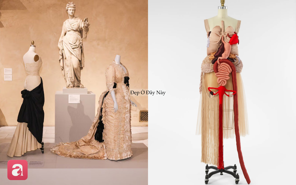 Chưa từng c&oacute; trong lịch sử: Met Gala 2026 g&acirc;y chấn động v&igrave; loạt thay đổi lớn - Ảnh 3.