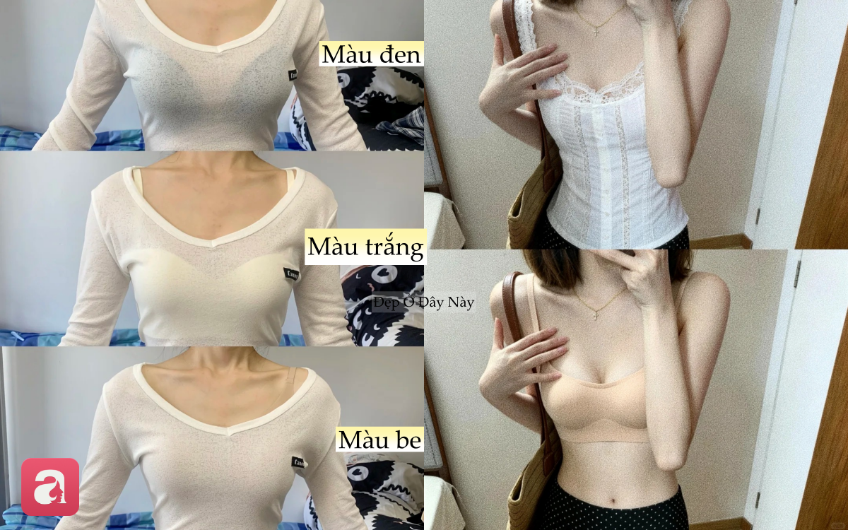 Chiếc bra 