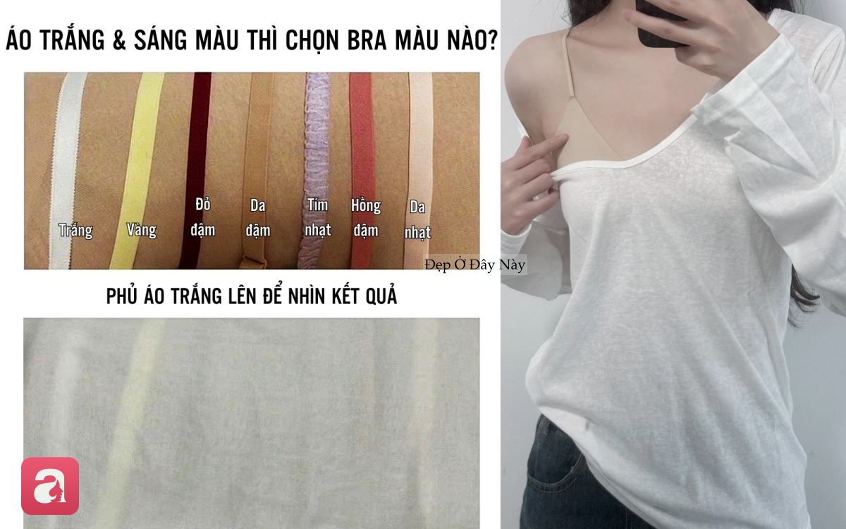 Chiếc bra 