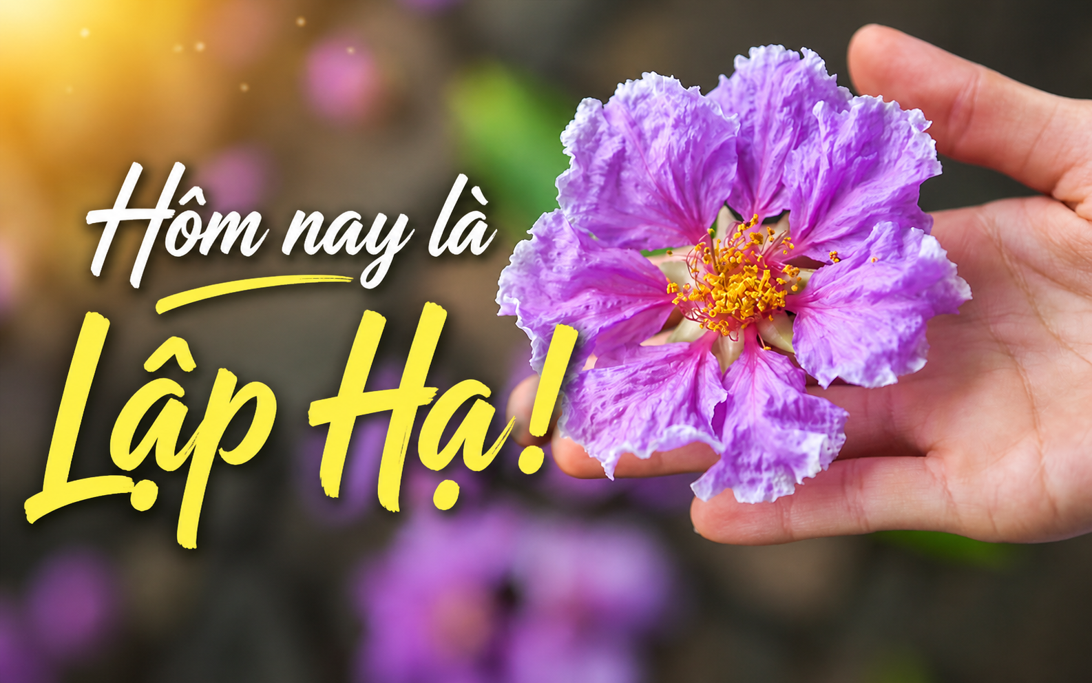 Đất trời sang Hạ trong một buổi chiều tháng Năm: Câu chuyện về tiết khí thứ 7 và nhịp sống thuận theo trời đất của người Việt - Ảnh 1.