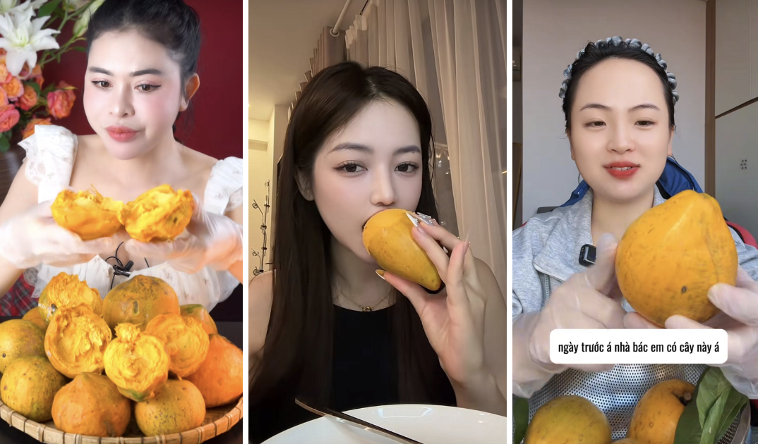 Quả trứng g&agrave; - m&oacute;n ăn d&acirc;n d&atilde; gi&aacute; trị dinh dưỡng cao tại Việt Nam - Ảnh 3.