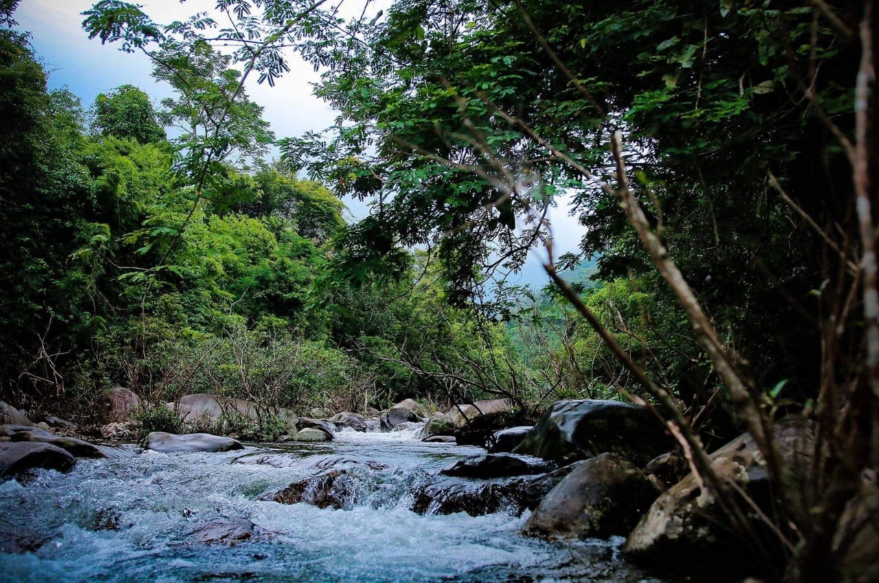 Tam Đảo - thị trấn du lịch h&agrave;ng đầu thế giới với kh&iacute; hậu dễ chịu quanh năm - Ảnh 4.