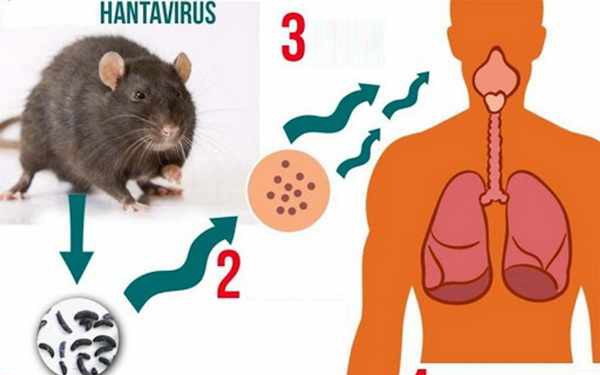 Anh triển khai mũi ti&ecirc;m điều trị ung thư 'chỉ trong một ph&uacute;t' - Ảnh 2.