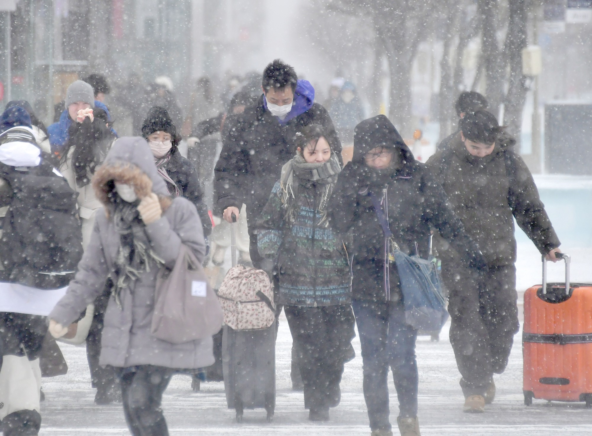 Tuyết th&aacute;ng năm xuất hiện ở Nhật Bản sau 21 năm: Cảnh tượng bất ngờ ở Hokkaido - Ảnh 1.