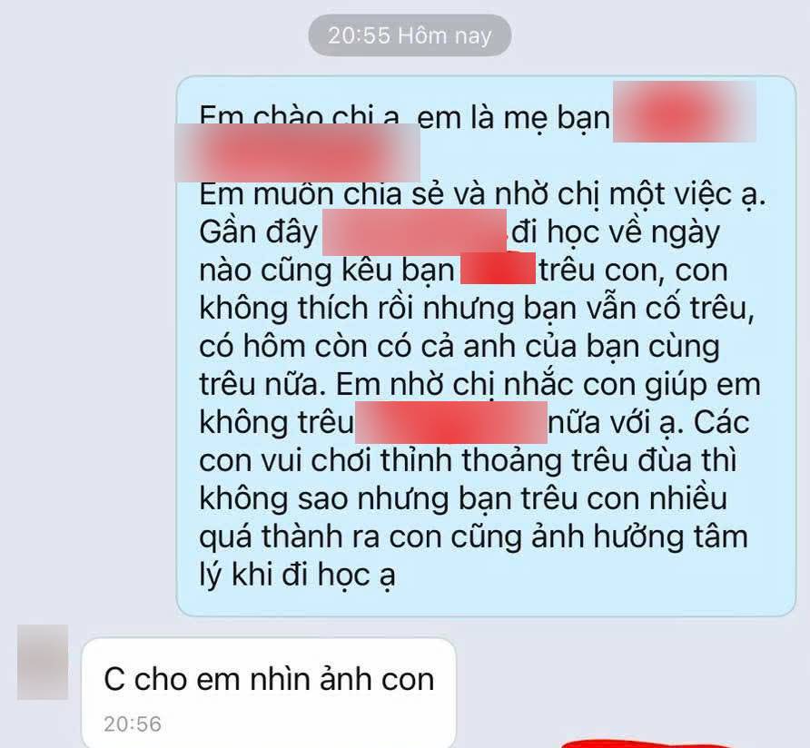 Nhắn tin cho 1 phụ huynh, b&agrave; mẹ H&agrave; Nội nhận phản hồi sốc: Chị n&ecirc;n cho con học trường ri&ecirc;ng cho khỏi bị ai l&agrave;m phiền! - Ảnh 1.