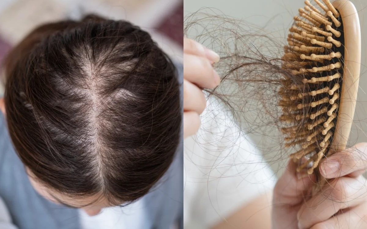 Tăng Thanh Hà, Mỹ Tâm đua nhau trồng 1 loại cây cho quả lúc lỉu: Ngon, sạch chẳng lo thuốc trừ sâu còn xóa nhăn da - Ảnh 5.