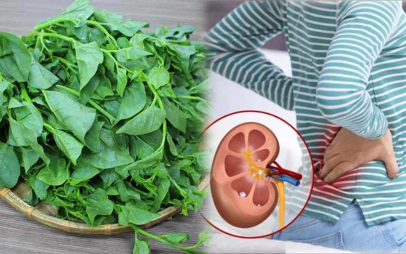 4 thứ tr&ecirc;n cơ thể c&agrave;ng mềm th&igrave; c&agrave;ng sống l&acirc;u, c&oacute; đủ cả bạn quả l&agrave; may mắn! - Ảnh 2.