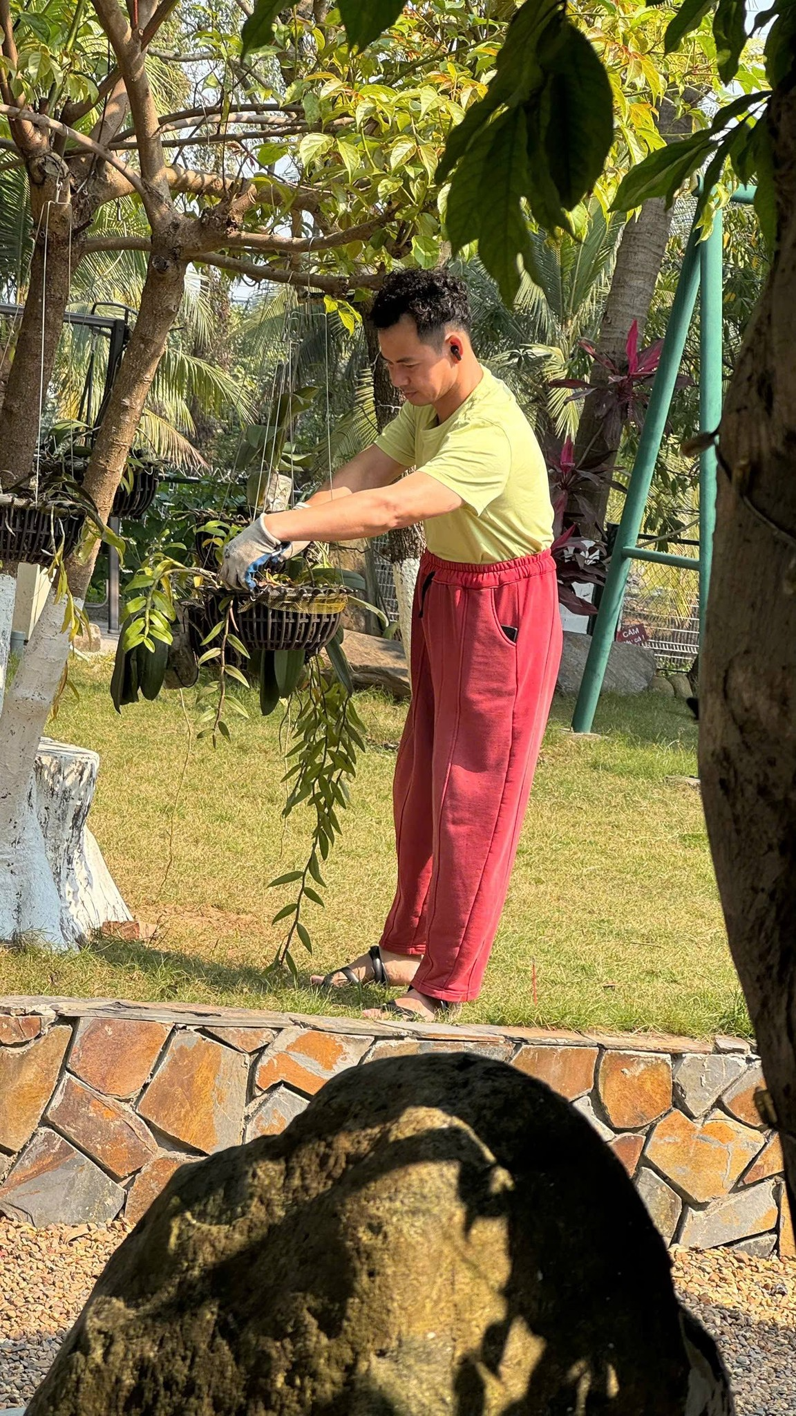 C&acirc;y m&iacute;t nổi tiếng nhất Việt Nam khiến Xu&acirc;n Bắc kh&ocirc;ng ngại l&agrave;m cuối tuần - Ảnh 5.