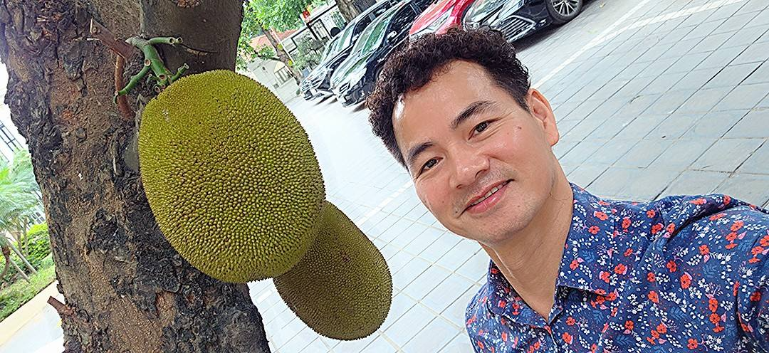 C&acirc;y m&iacute;t nổi tiếng nhất Việt Nam khiến Xu&acirc;n Bắc kh&ocirc;ng ngại l&agrave;m cuối tuần - Ảnh 1.
