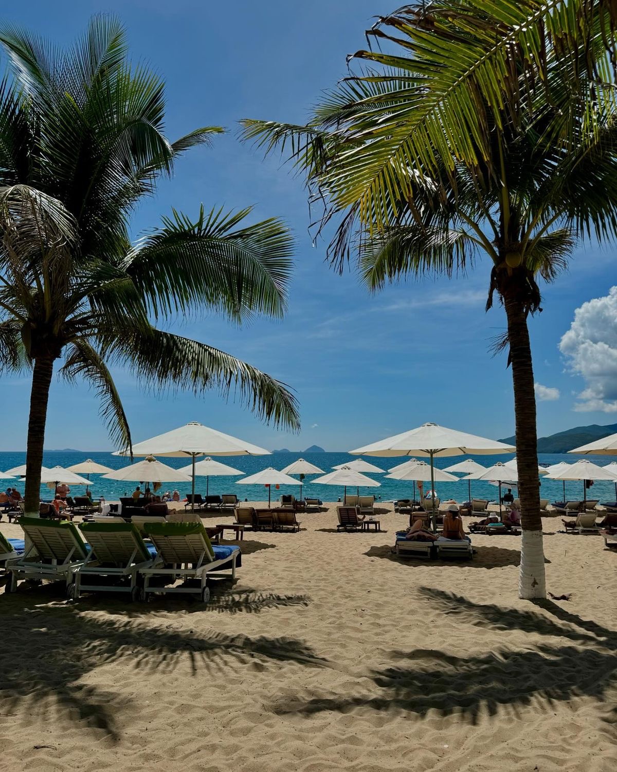 Bức ảnh Nha Trang chứng minh vịnh đẹp nhất thế giới năm 2026 - Ảnh 7.