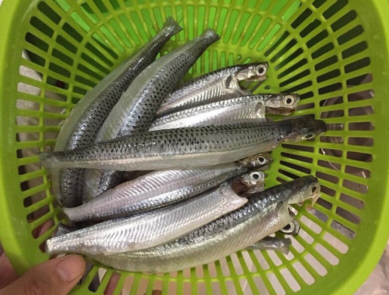 C&aacute; dỗi - l&ograve;ai c&aacute; q&uacute;y hơn v&agrave;ng với hương vị hấp dẫn tại La Gi - Ảnh 2.