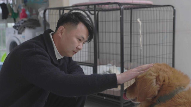 Nghề th&aacute;m tử th&uacute; cưng tại Trung Quốc: Kiếm 130 triệu Với hy vọng t&igrave;m lại th&uacute; cưng - Ảnh 6.