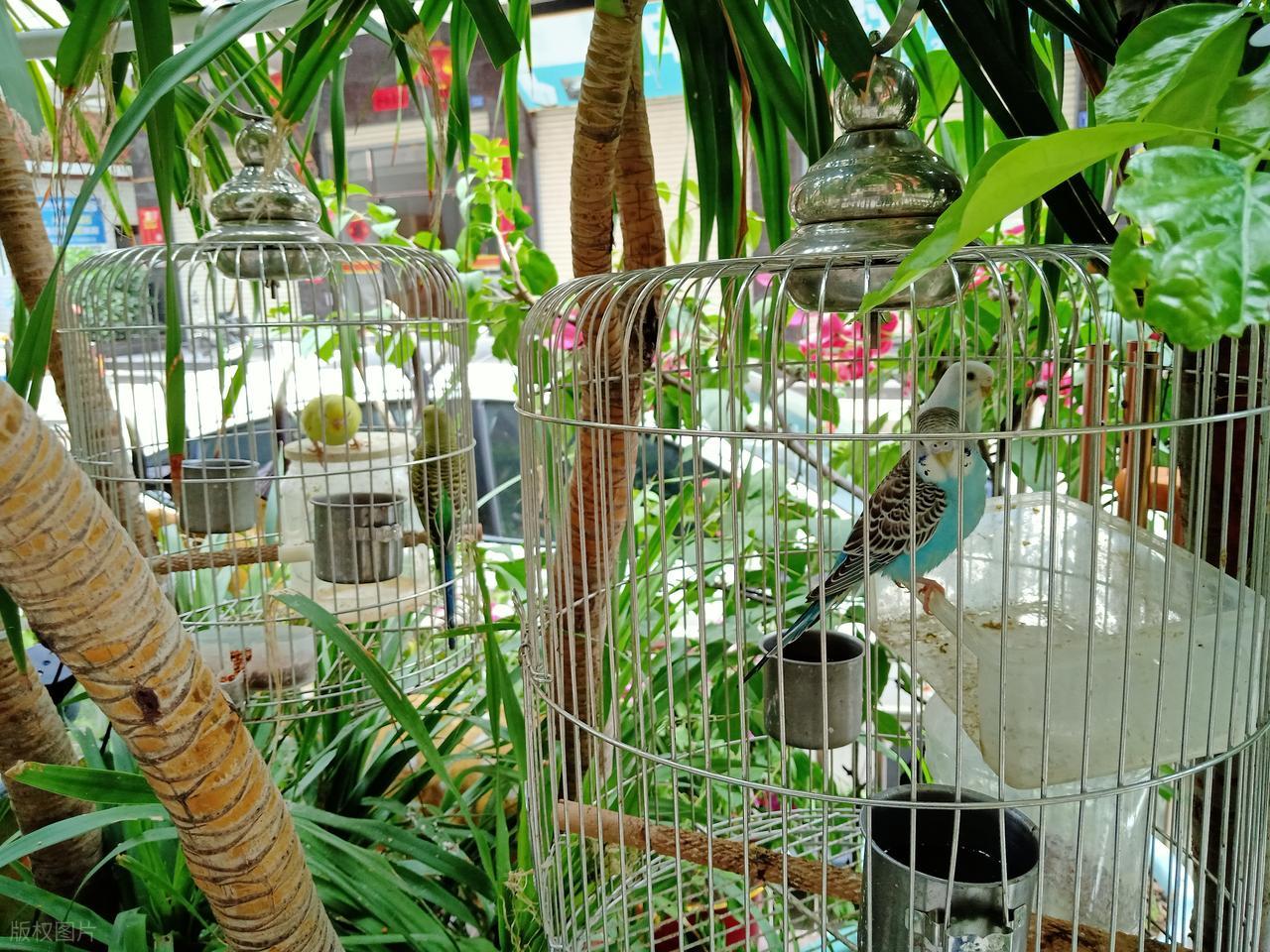 Từ chối xu hướng x&acirc;y k&iacute;n ban c&ocirc;ng, người phụ nữ biến khoảng kh&ocirc;ng ngo&agrave;i trời th&agrave;nh g&oacute;c thư gi&atilde;n khiến ai cũng muốn học theo - Ảnh 5.