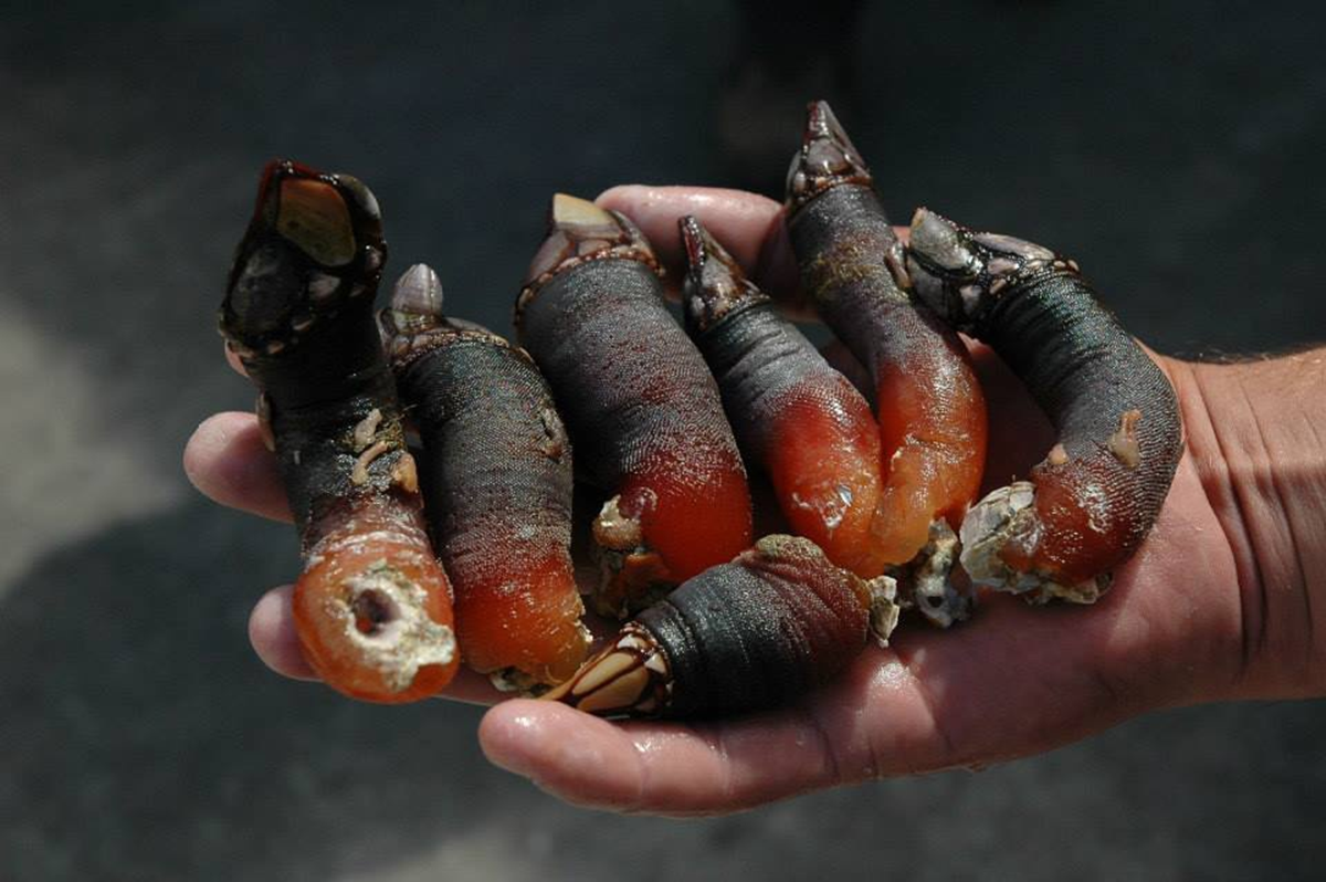 Đặc sản 