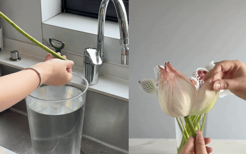 Rinh quốc sắc thi&ecirc;n hương v&agrave;o nh&agrave; th&aacute;ng 6: Đ&aacute;nh thức hoa sen k&eacute;p nở đẹp - Ảnh 3.