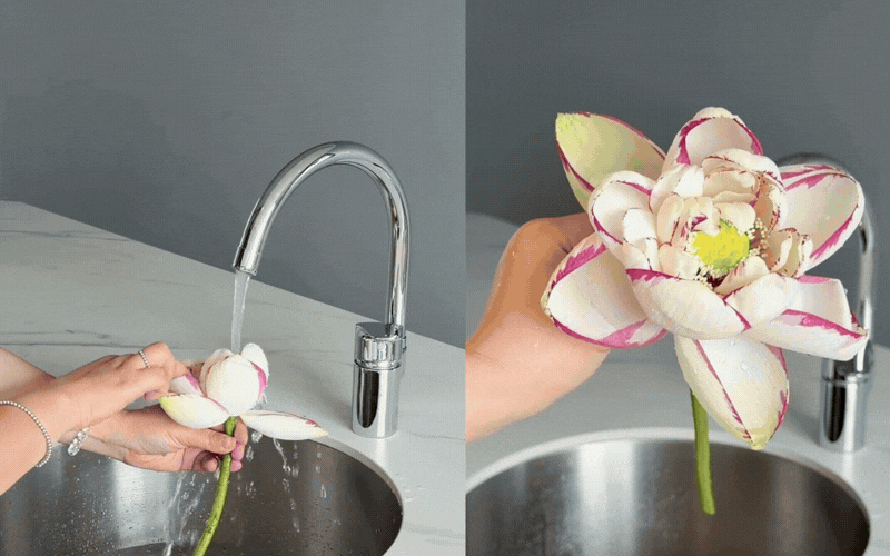 Rinh quốc sắc thi&ecirc;n hương v&agrave;o nh&agrave; th&aacute;ng 6: Đ&aacute;nh thức hoa sen k&eacute;p nở đẹp - Ảnh 5.