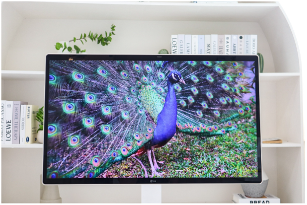 LG Smart Monitor Swing - M&agrave;n h&igrave;nh s&aacute;ng tạo gắn kết gia đ&igrave;nh trẻ - Ảnh 3.