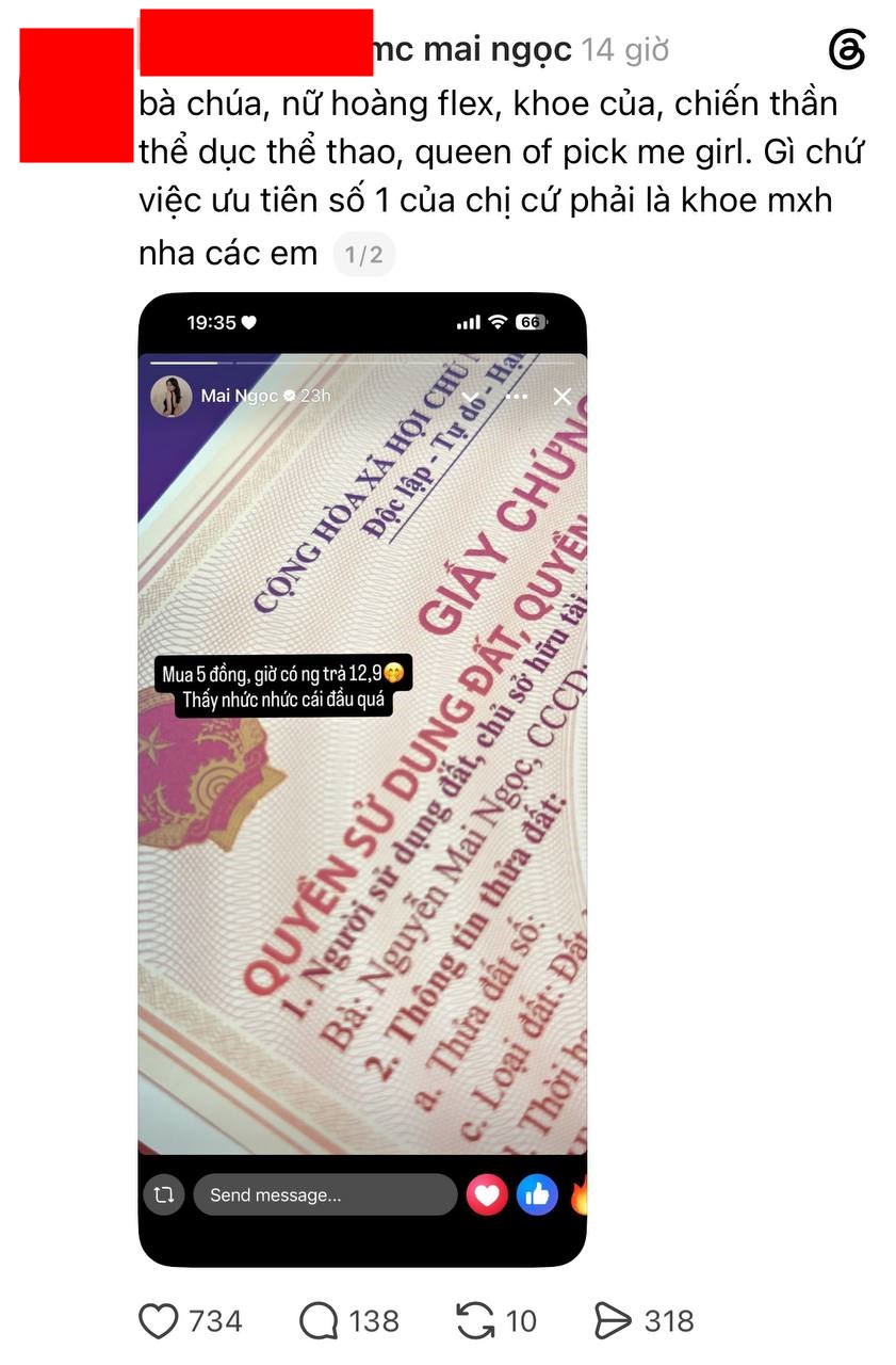 Số tiền 7 tỷ đồng của MC Mai Ngọc v&agrave; cuộc sống vi&ecirc;n m&atilde;n sau t&aacute;i h&ocirc;n - Ảnh 1.