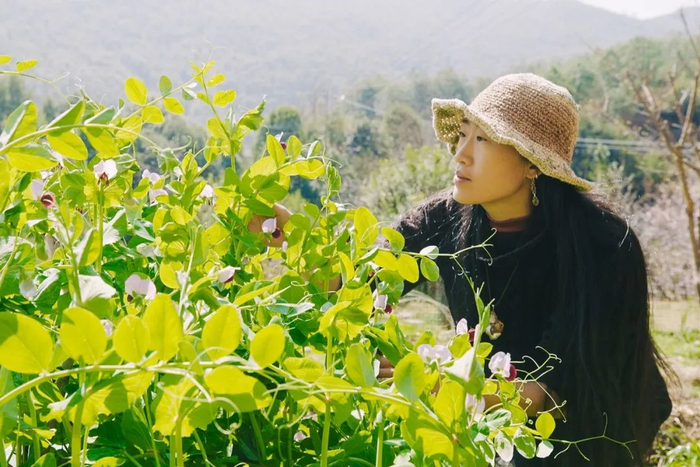 Người phụ nữ 36 tuổi cải tạo ng&ocirc;i nh&agrave; 60 năm giữa n&uacute;i rừng V&acirc;n Nam - Ảnh 9.