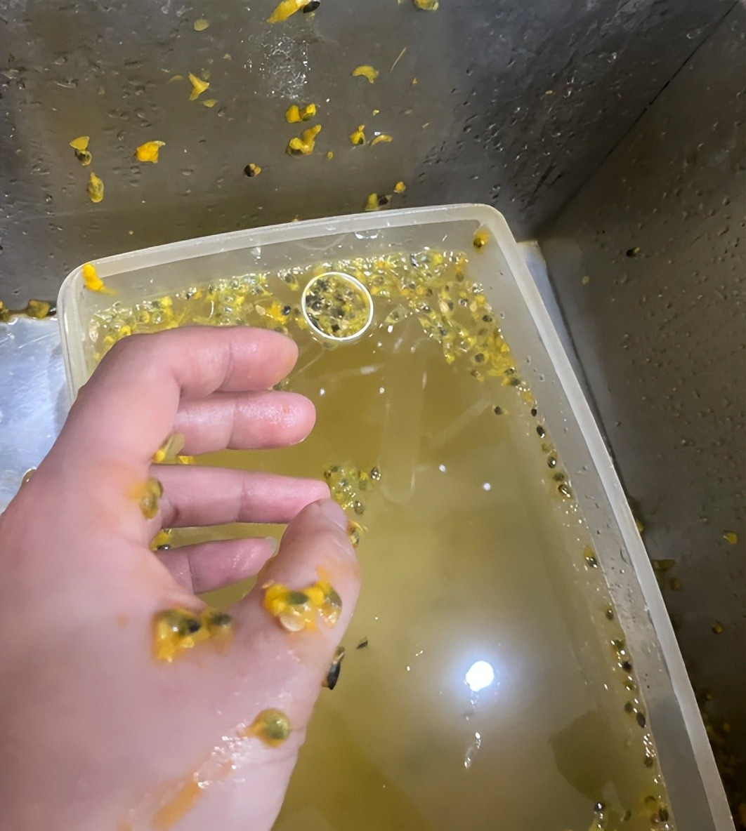 M&ugrave;a h&egrave; đừng t&ugrave;y tiện nh&eacute;t mọi thứ v&agrave;o tủ lạnh: 5 m&oacute;n tưởng v&ocirc; hại nhưng c&oacute; thể g&acirc;y nổ, nhiều nh&agrave; vẫn đang l&agrave;m mỗi ng&agrave;y - Ảnh 5.