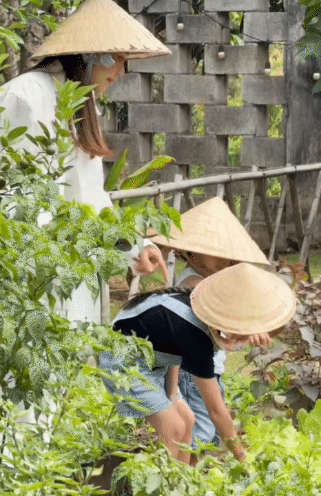 Trường Giang - Nh&atilde; Phương đưa c&aacute;c con về nh&agrave; vườn 70 tỷ nghỉ h&egrave;: Con trai giống ba như tạc, c&ograve;n b&aacute;m ba Giang kh&ocirc;ng rời- Ảnh 3.