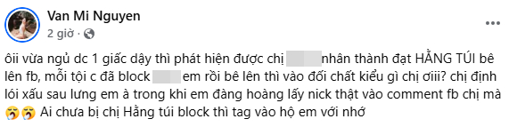Hằng T&uacute;i v&agrave; Mi V&acirc;n đấu tố tr&ecirc;n mạng x&atilde; hội , cuộc chiến g&acirc;y ch&uacute; &yacute; năm 2026 - Ảnh 4.