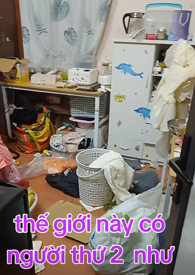  - Ảnh 2.